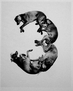 Image description is not available for 2001.032